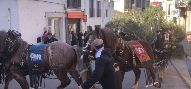 Tot llest per a la celebració de Sant Antoni a Santa Magdalena