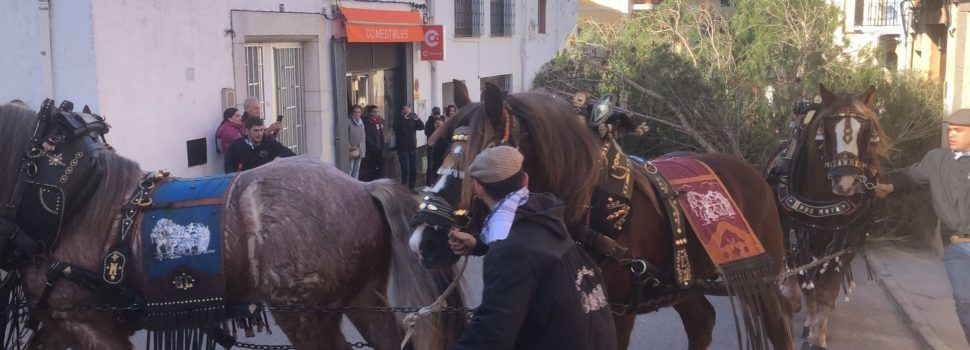 Tot llest per a la celebració de Sant Antoni a Santa Magdalena