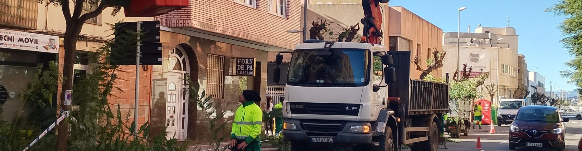 Brito (VOX): “Volvimos a podar en la avda. Mª Auxiliadora”