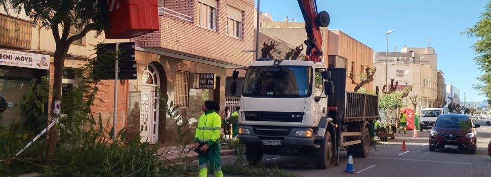 Brito (VOX): “Volvimos a podar en la avda. Mª Auxiliadora”