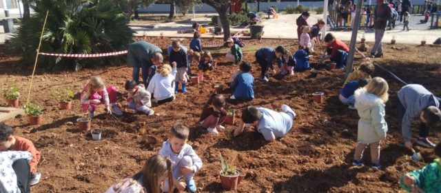 462 xiquets i xiquetes participen en el Dia de l’Arbre organitzat per l’Ajuntament d’Alcalà-Alcossebre
