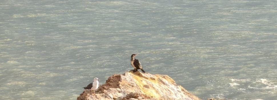 El “parte” del temps: demà bufarà mestral amb intensitat i seguiria fort fins diumenge a la tarda