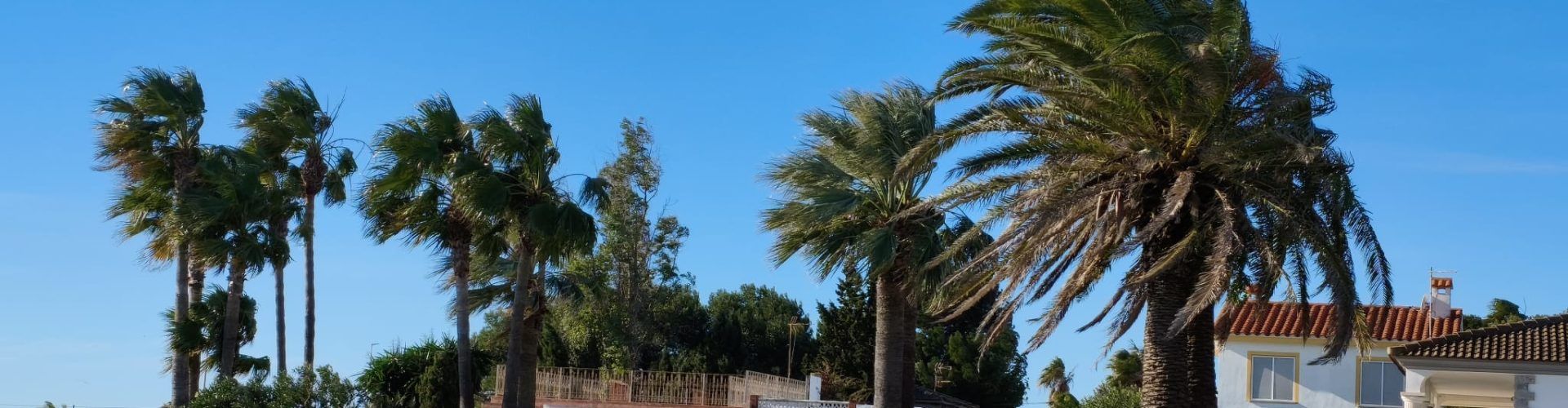 El “parte” del temps: aire, fot-li aire, pels voltants la palma se l’endú Bel amb 172 km/h
