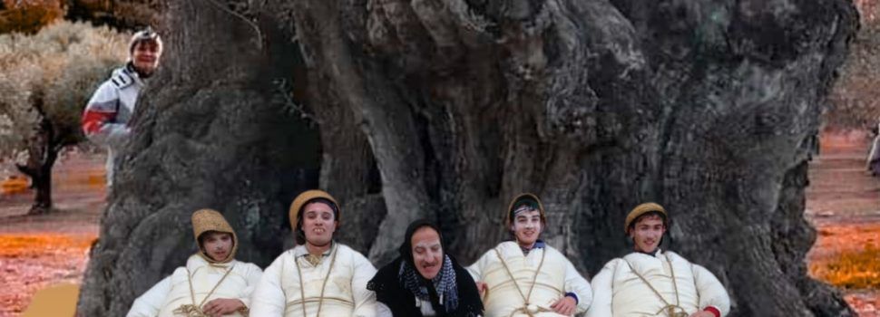 Ruta oliveres mil·lenàries i Festa dels Panxuts a La Jana el 28 de febrer