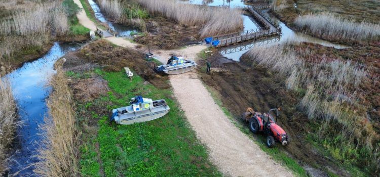 L’Ajuntament de Peníscola dóna continuïtat a les millores a l’entorn de la marjal