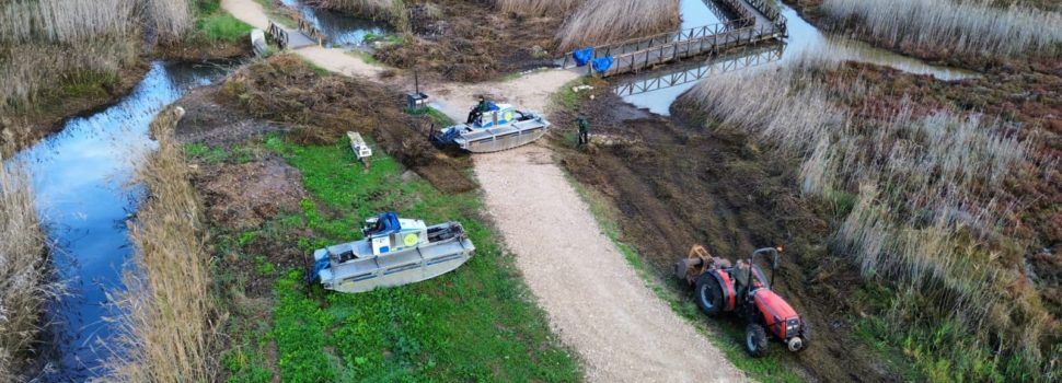 L’Ajuntament de Peníscola dóna continuïtat a les millores a l’entorn de la marjal
