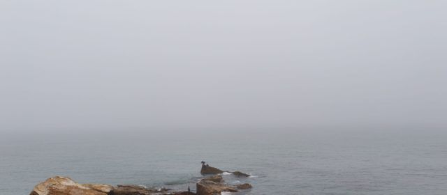 El “parte” del temps: temperatures que si surt lo sol seran agradables i si com avui no surt pos fotrà rasca