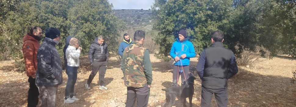 Benassal reforça la professionalització del sector amb un curs especialitzat sobre el gos tofoner