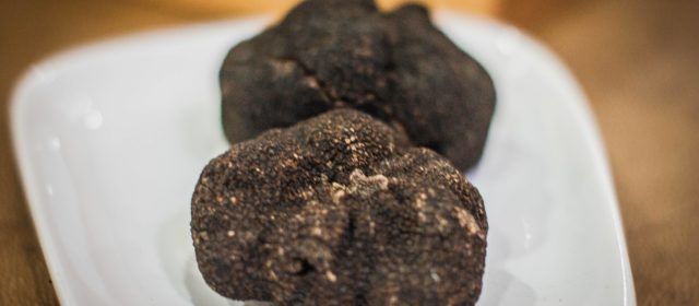 El mercat de la trufa omplirà Morella amb l’aroma del diamant negre dels Ports