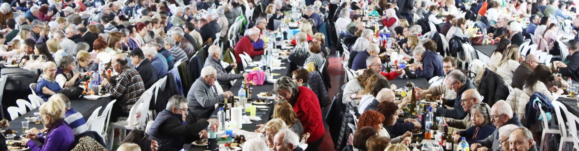 L’Aldea celebra amb gran èxit la 2a Festa de la Carxofa, consolidant-la com a referent gastronòmic i cultural