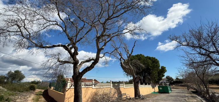Càlig realitza el manteniment i poda dels arbres del camí al Paratge dels Socors