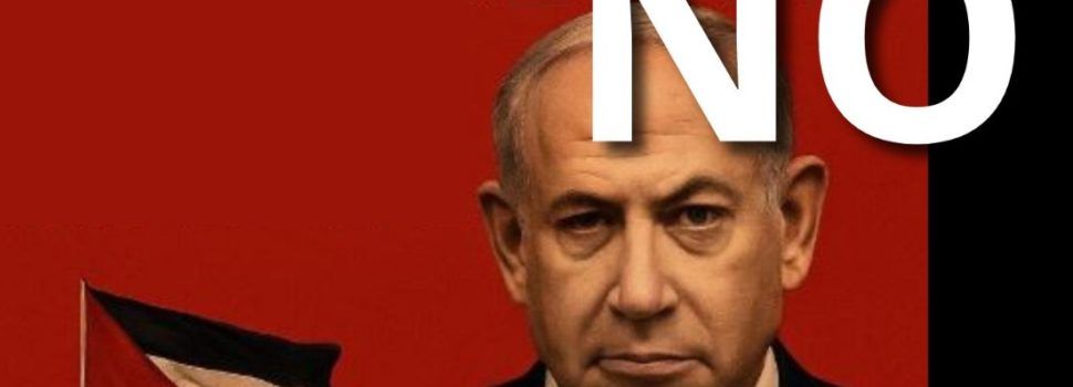 El Grup de Suport a Palestina de Vinaròs es concentra a les portes del mercat