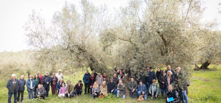 Acto final del proyecto OTRart “transformar los residuos en arte” en Morella, La Jana y Ulldecona