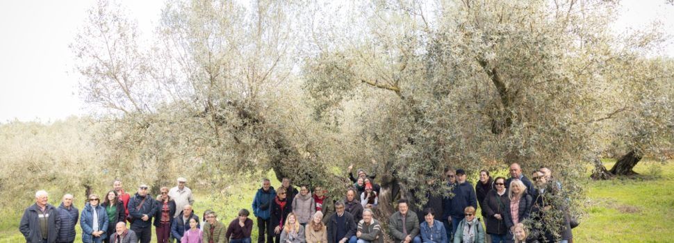 Acto final del proyecto OTRart “transformar los residuos en arte” en Morella, La Jana y Ulldecona