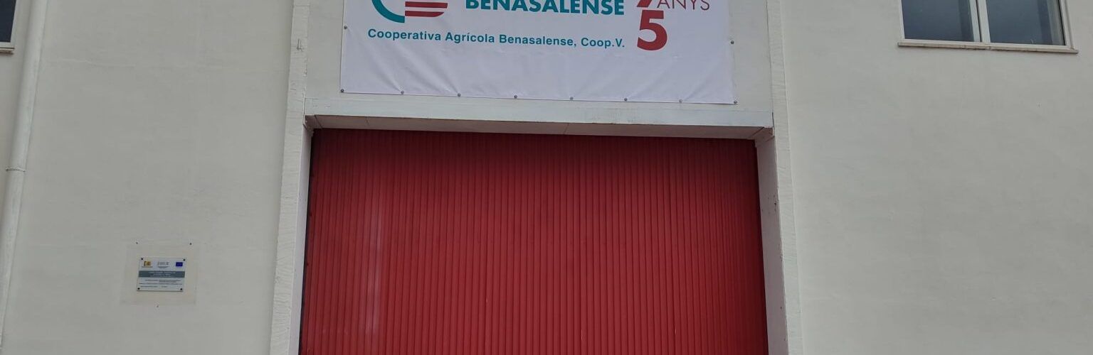 La cooperativa de Benassal participa en AVELLASSAL, un projecte europeu per impulsar l’avellana de secà emblemàtica del municipi