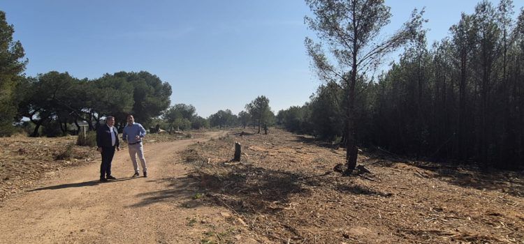 L’Ajuntament de Peníscola destina 70.000€ de recursos propis a la prevenció i mitigació del risc d’incendis forestals