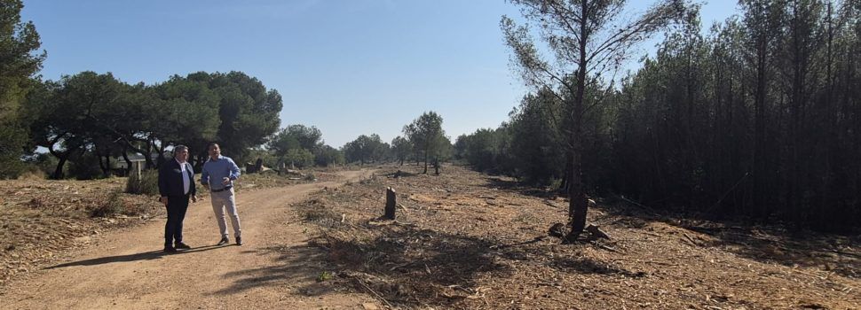L’Ajuntament de Peníscola destina 70.000€ de recursos propis a la prevenció i mitigació del risc d’incendis forestals