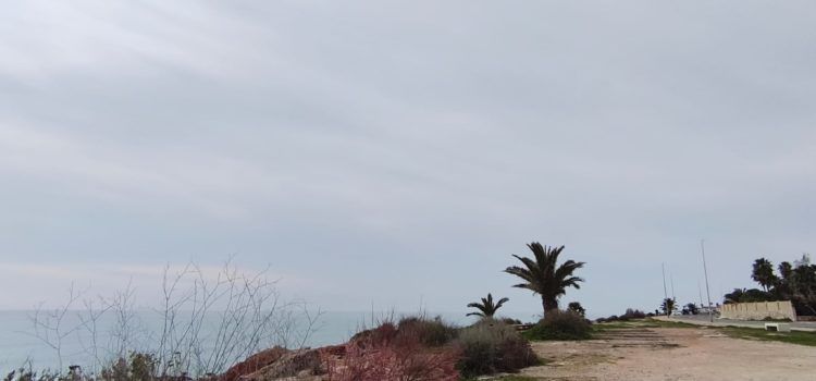 El “parte” del temps: ja estem en la primavera astronòmica, que no en la meteorològica