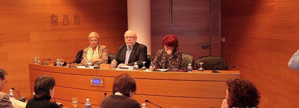 Castejón: “Davant les realitats evidents, es volen inventar polèmiques?”
