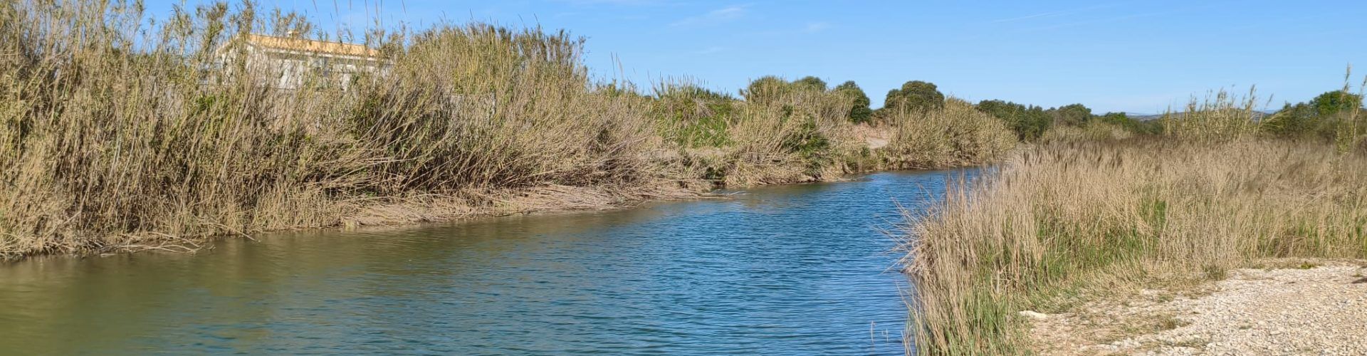 El “parte” del temps: el vent seguirà fotent-li gairebé tota la setmana