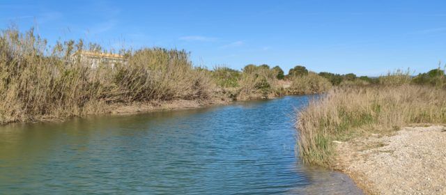El “parte” del temps: el vent seguirà fotent-li gairebé tota la setmana