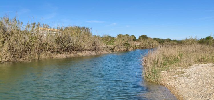 El “parte” del temps: el vent seguirà fotent-li gairebé tota la setmana