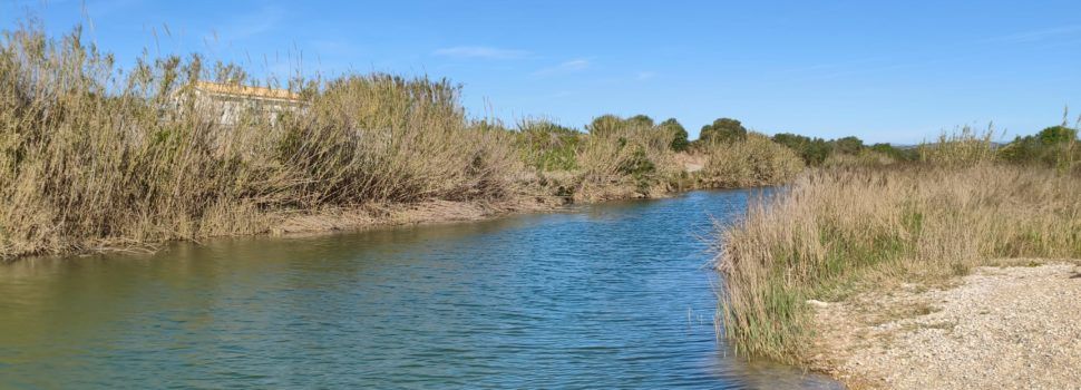 El “parte” del temps: el vent seguirà fotent-li gairebé tota la setmana