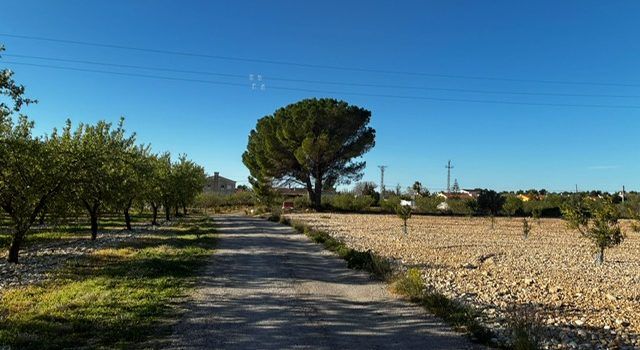 Tall temporal del camí del Molí de l’Om per obres de millora de la xarxa d’aigua a Ulldecona