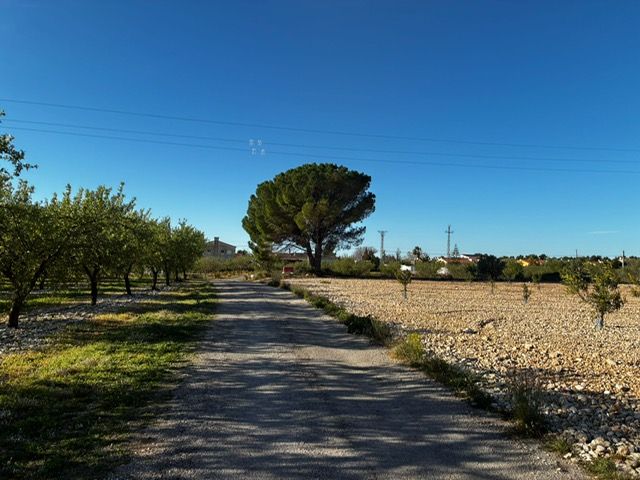 Tall temporal del camí del Molí de l’Om per obres de millora de la xarxa d’aigua a Ulldecona