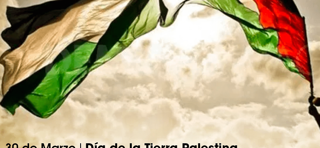 Plantació d’una olivera a l’ermita de Vinaròs pel Dia de la Terra Palestina
