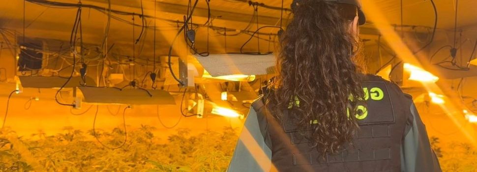La Guardia Civil desmantela en Benicarló una plantación indoor
