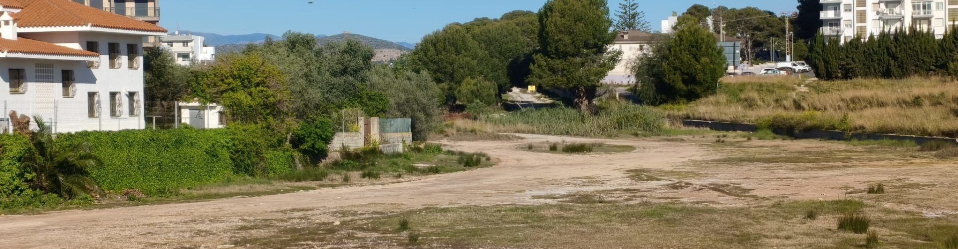 El “parte” del temps: temperatures demà encara més altes, ambient primaveral, fuera ropa, despelote
