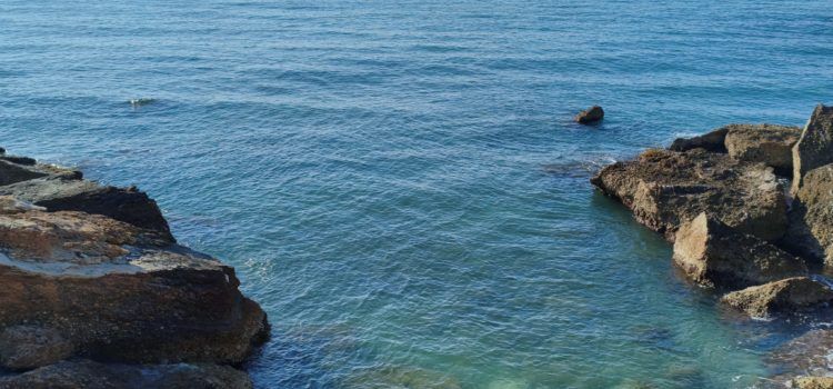 El “parte” del temps: dies molt pareguts tota la setmana, amb bonança, absència de pluja i ben poc aire