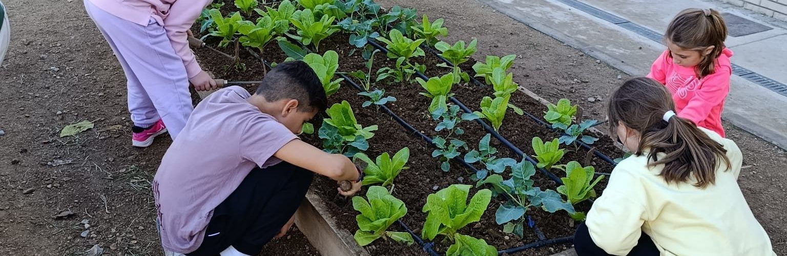 La Regidoria d’Agricultura impulsa l’educació ambiental i els hàbits saludables a través del programa EcoEscoles