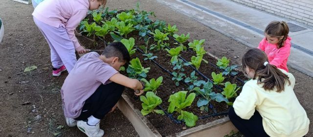 La Regidoria d’Agricultura impulsa l’educació ambiental i els hàbits saludables a través del programa EcoEscoles