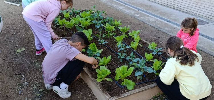 La Regidoria d’Agricultura impulsa l’educació ambiental i els hàbits saludables a través del programa EcoEscoles