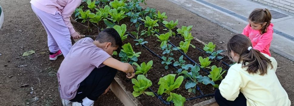 La Regidoria d’Agricultura impulsa l’educació ambiental i els hàbits saludables a través del programa EcoEscoles