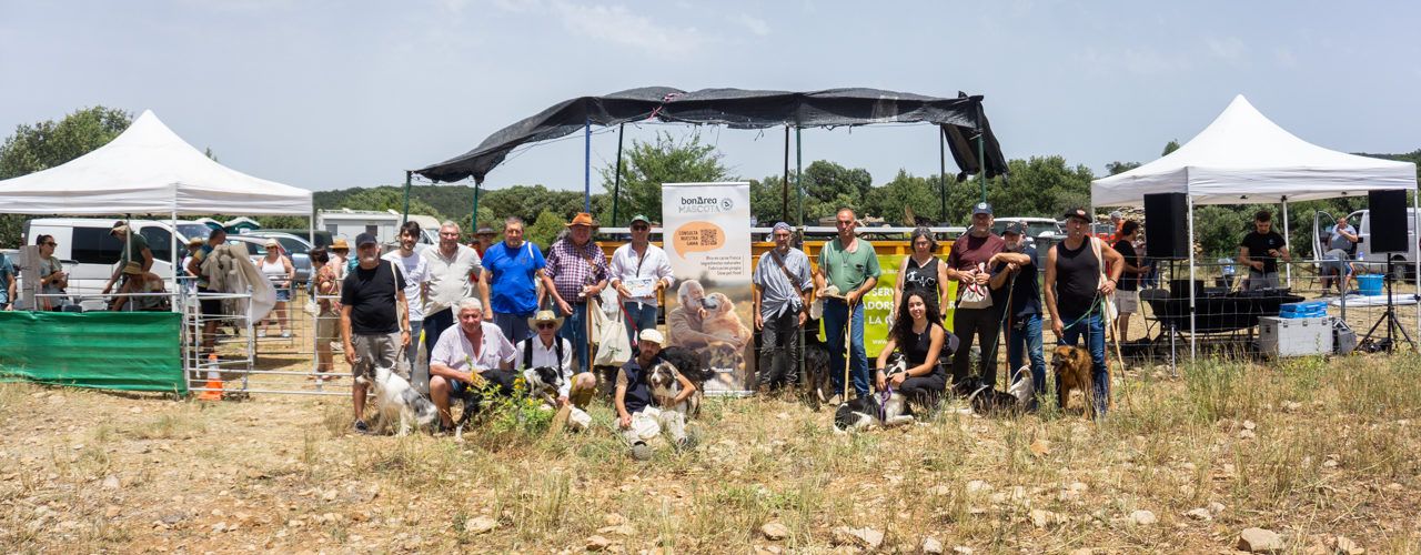 Ares torna a ser seu del concurs de gossos de rabera amb un gran nivell de participació