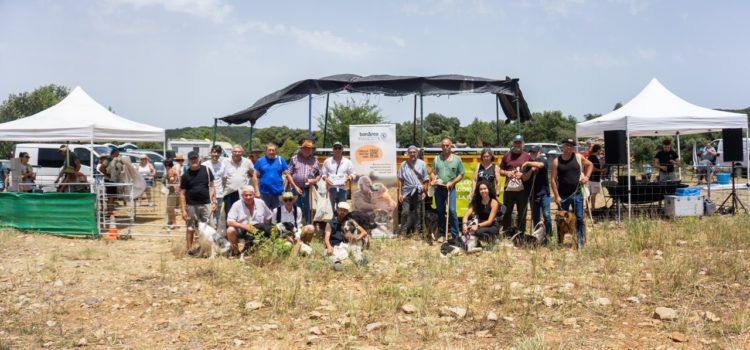Ares torna a ser seu del concurs de gossos de rabera amb un gran nivell de participació