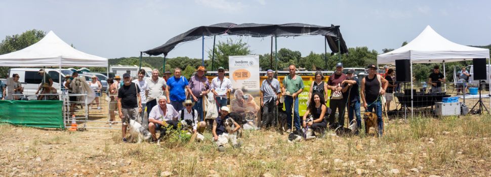 Ares torna a ser seu del concurs de gossos de rabera amb un gran nivell de participació