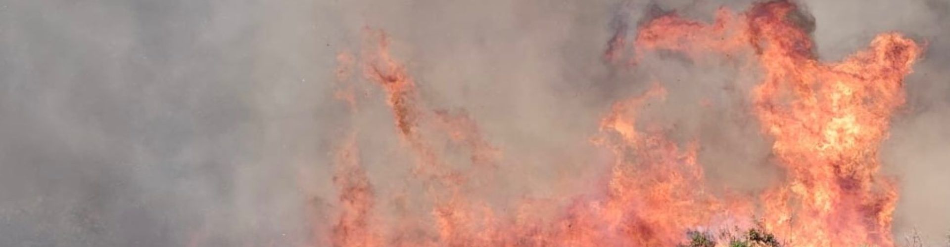 Incendio forestal en la zona de El Puig de Benicarló