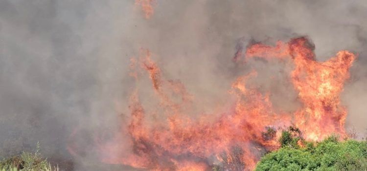 Incendio forestal en la zona de El Puig de Benicarló