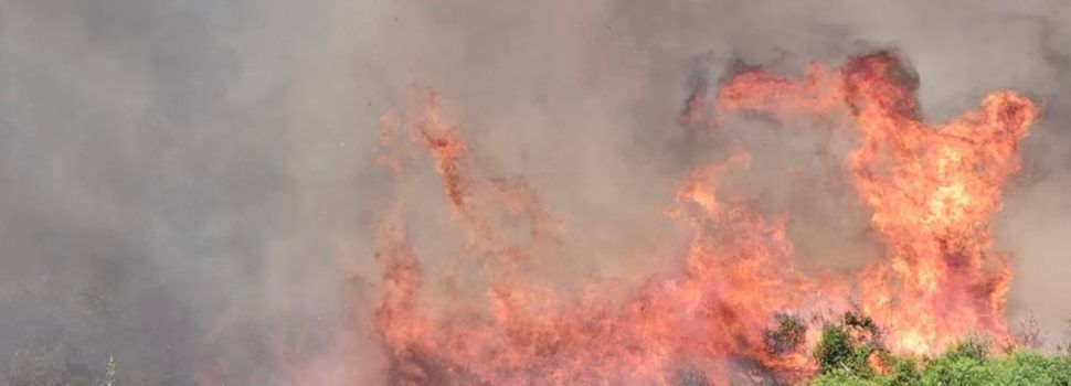 Incendio forestal en la zona de El Puig de Benicarló