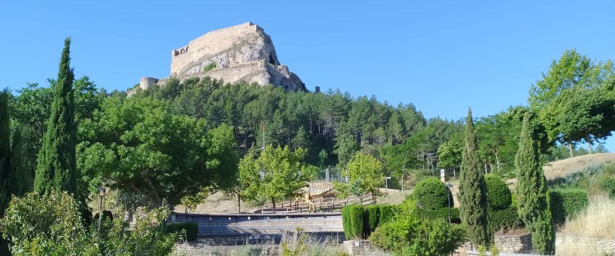 PSPV Morella demana l’adequació i millora del ‘Jardí del Record’ per les víctimes de la Covid-19 davant la seua falta de cura