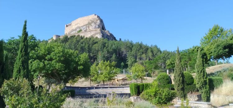 PSPV Morella demana l’adequació i millora del ‘Jardí del Record’ per les víctimes de la Covid-19 davant la seua falta de cura
