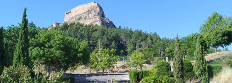 PSPV Morella demana l’adequació i millora del ‘Jardí del Record’ per les víctimes de la Covid-19 davant la seua falta de cura