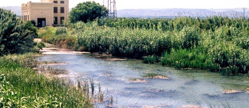 Un país d’històries (LIV): Un home que no en sabia