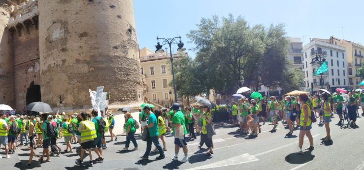 Mestres del Maestrat també a la nova manifestació educativa a València