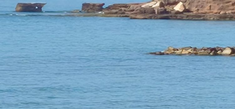 El “parte” del temps: demà refrescarà un pelet a l’igual que dimecres