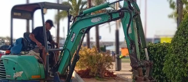 L’Ajuntament de Peníscola inicia l’ampliació de l’arbratge a la ciutat
